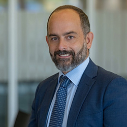 Professor Andrea Cammarano